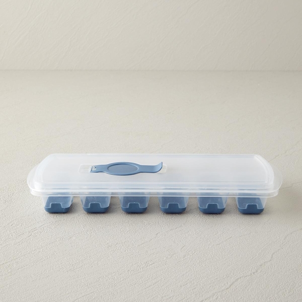 Virginie Plastic Ice Mold 24x10 cm Blue