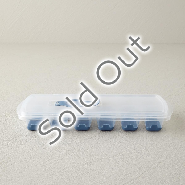 Virginie Plastic Ice Mold 24x10 cm Blue