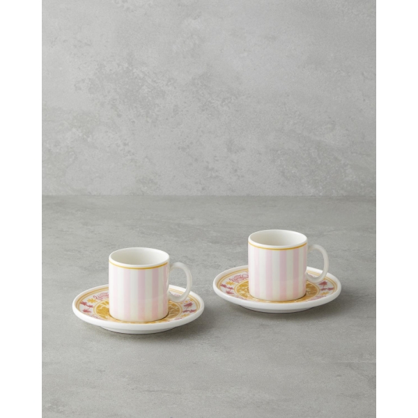 Viora Bone Porcelain 4 Piece Coffee Cup Set for 2 People 90 ml Pink - Yellow